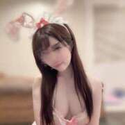 ヒメ日記 2025/03/29 10:18 投稿 ひまわり Evolution 2nd