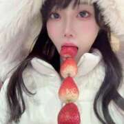 ヒメ日記 2025/03/29 13:14 投稿 ひまわり Evolution 2nd