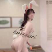 ヒメ日記 2025/04/05 10:02 投稿 ひまわり Evolution 2nd