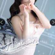 ヒメ日記 2025/04/07 05:02 投稿 ひまわり Evolution 2nd