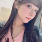 ヒメ日記 2025/04/07 14:11 投稿 ひまわり Evolution 2nd