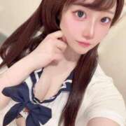 ヒメ日記 2025/04/14 10:12 投稿 ひまわり Evolution 2nd