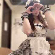 ヒメ日記 2025/04/19 09:50 投稿 ひまわり Evolution 2nd