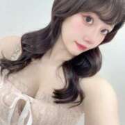 ヒメ日記 2025/04/22 11:02 投稿 ひまわり Evolution 2nd