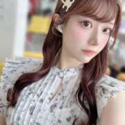 ヒメ日記 2025/04/30 10:22 投稿 ひまわり Evolution 2nd