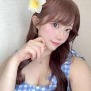 ヒメ日記 2025/05/01 12:24 投稿 ひまわり Evolution 2nd