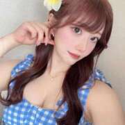 ヒメ日記 2025/05/14 09:18 投稿 ひまわり Evolution 2nd