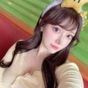 ヒメ日記 2025/05/19 04:12 投稿 ひまわり Evolution 2nd