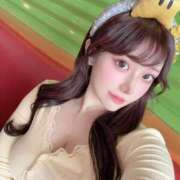 ヒメ日記 2025/05/26 09:12 投稿 ひまわり Evolution 2nd