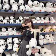 ヒメ日記 2025/05/28 05:17 投稿 ひまわり Evolution 2nd