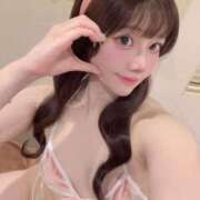 ヒメ日記 2025/05/28 09:04 投稿 ひまわり Evolution 2nd