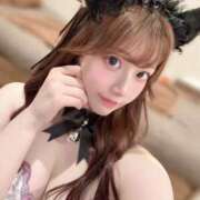 ヒメ日記 2025/05/31 12:22 投稿 ひまわり Evolution 2nd