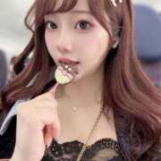 ヒメ日記 2025/06/01 12:34 投稿 ひまわり Evolution 2nd