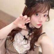 ヒメ日記 2025/06/08 08:12 投稿 ひまわり Evolution 2nd