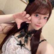 ヒメ日記 2025/06/16 09:02 投稿 ひまわり Evolution 2nd