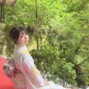 ヒメ日記 2025/06/19 07:20 投稿 ひまわり Evolution 2nd