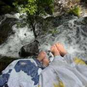 ヒメ日記 2025/06/19 12:13 投稿 ひまわり Evolution 2nd