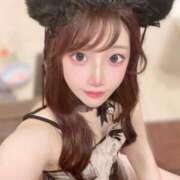 ヒメ日記 2025/06/22 07:32 投稿 ひまわり Evolution 2nd