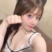 ヒメ日記 2025/06/23 12:34 投稿 ひまわり Evolution 2nd