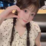 ヒメ日記 2025/06/24 07:20 投稿 ひまわり Evolution 2nd