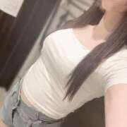 ヒメ日記 2025/06/28 09:43 投稿 ひまわり Evolution 2nd