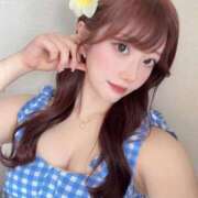 ヒメ日記 2025/07/16 08:17 投稿 ひまわり Evolution 2nd