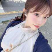 ヒメ日記 2025/07/17 10:17 投稿 ひまわり Evolution 2nd