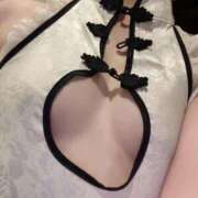 ヒメ日記 2025/07/19 10:02 投稿 ひまわり Evolution 2nd