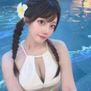 ヒメ日記 2025/07/31 11:02 投稿 ひまわり Evolution 2nd