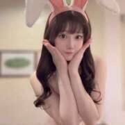 ヒメ日記 2025/08/10 11:13 投稿 ひまわり Evolution 2nd