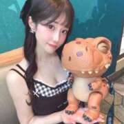 ヒメ日記 2025/08/28 11:02 投稿 ひまわり Evolution 2nd