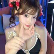 ヒメ日記 2025/09/16 12:42 投稿 ひまわり Evolution 2nd