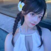 ヒメ日記 2025/09/21 12:09 投稿 ひまわり Evolution 2nd