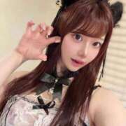 ヒメ日記 2025/09/24 06:12 投稿 ひまわり Evolution 2nd