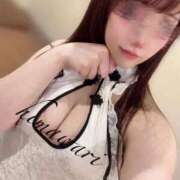 ヒメ日記 2025/09/28 09:17 投稿 ひまわり Evolution 2nd