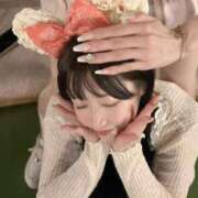 ヒメ日記 2025/10/10 12:09 投稿 ひまわり Evolution 2nd