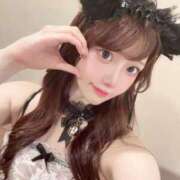 ヒメ日記 2025/10/10 13:12 投稿 ひまわり Evolution 2nd