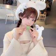 ヒメ日記 2025/10/18 07:17 投稿 ひまわり Evolution 2nd