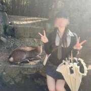 ヒメ日記 2025/10/18 09:02 投稿 ひまわり Evolution 2nd