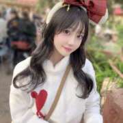 ヒメ日記 2025/11/14 11:11 投稿 ひまわり Evolution 2nd