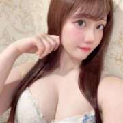 ひまわり 実は… Evolution 2nd