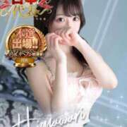 ひまわり すごい！！！！ Evolution 2nd