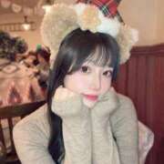 ヒメ日記 2025/12/24 05:10 投稿 ひまわり Evolution 2nd