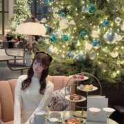 ヒメ日記 2025/12/24 09:15 投稿 ひまわり Evolution 2nd