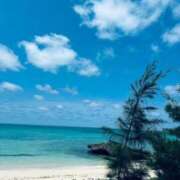 ヒメ日記 2026/04/25 01:12 投稿 ひまわり Evolution 2nd