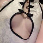 ヒメ日記 2026/04/26 12:30 投稿 ひまわり Evolution 2nd