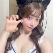 ヒメ日記 2026/07/04 13:20 投稿 ひまわり Evolution 2nd
