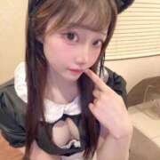 ヒメ日記 2026/07/06 08:08 投稿 ひまわり Evolution 2nd