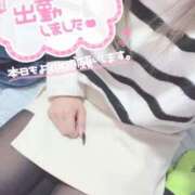 ヒメ日記 2025/01/25 14:08 投稿 ひかり 静岡駅前ちゃんこ