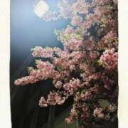 ヒメ日記 2025/03/11 20:49 投稿 いおり 熟女デリヘル倶楽部